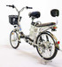 Электровелосипед GreenCamel Транк-2 (R20 250W 48V 10Ah)