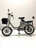 Электровелосипед GreenCamel Транк 20 V8 PRO (R20 250W 60V) алюм, 2х подвес